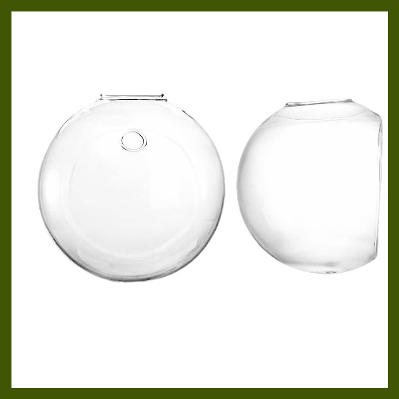 壁に穴を開けずに、植物を引き立てましょう