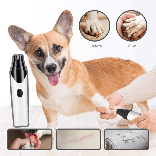 Stress-free nail file for your pet 