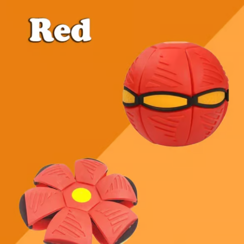 The bouncy toy that awakens all dogs 