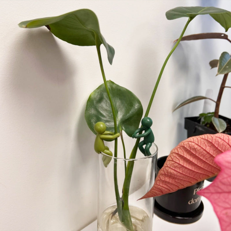 Support decorative and flexible cuttings for plants (x3) 