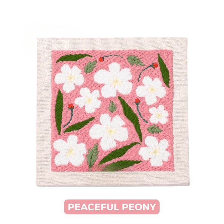 ערכת רקום עם מחט פאנץ' 