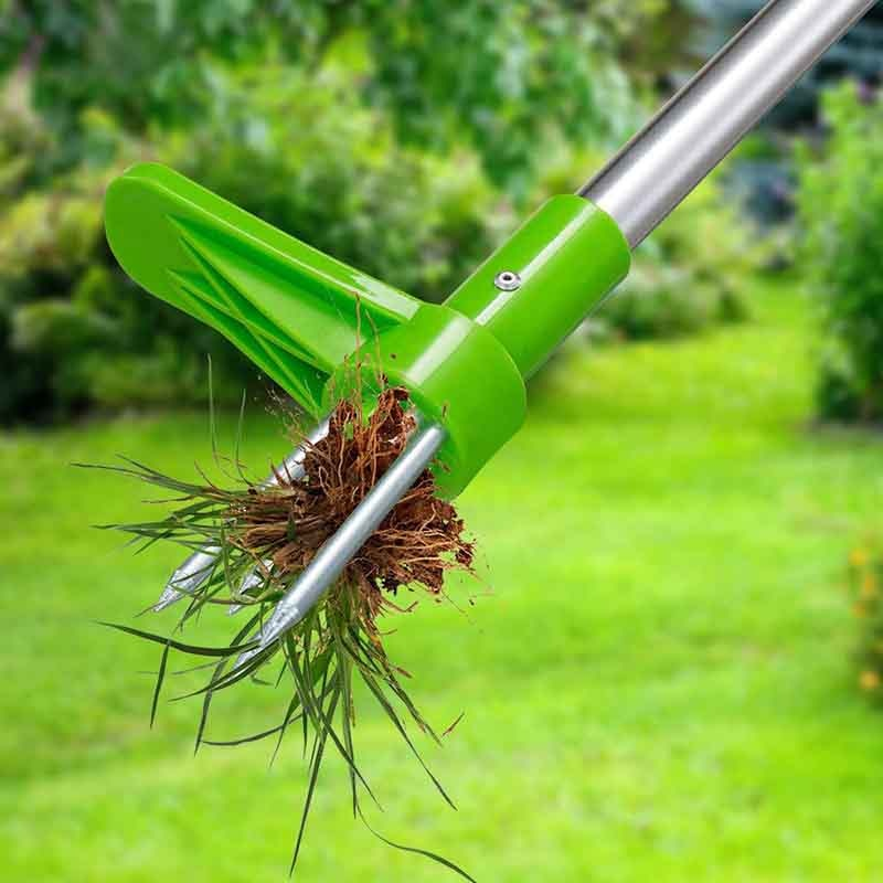 Extractor de iarbă proastă din oțel 