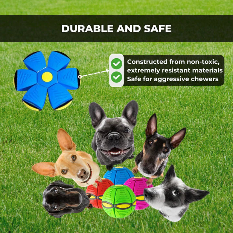 The bouncy toy that awakens all dogs 